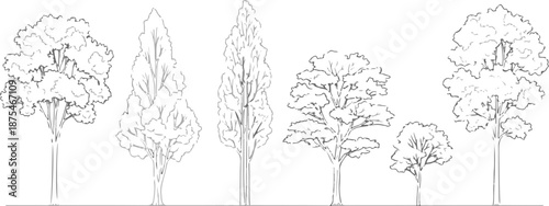 Set of 6 Outline Tree Vector Illustrations for Architectural Plans