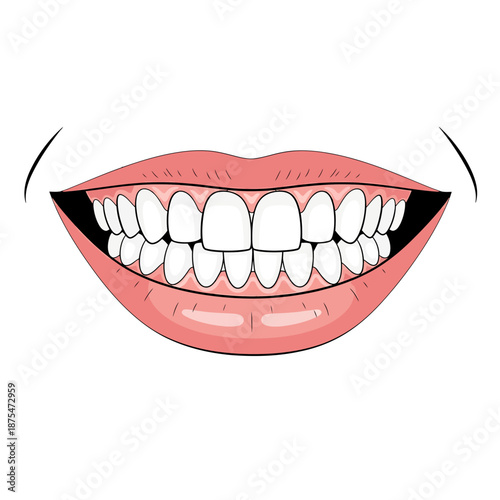 Smiling Mouth Showing White Teeth and Pink Lips Vector Illustration Isolated on White