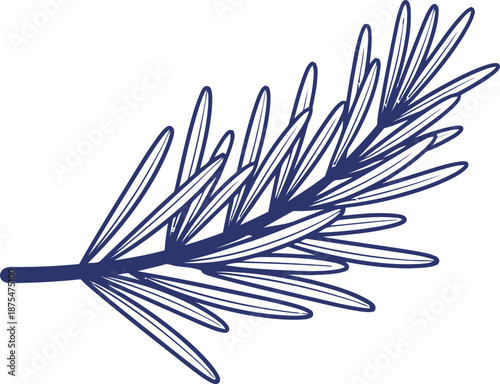 Rosemary herb in blue color, a plant branch ingredient for cooking and aroma, isolated outline design. Vector illustration for recipe, logo, menu