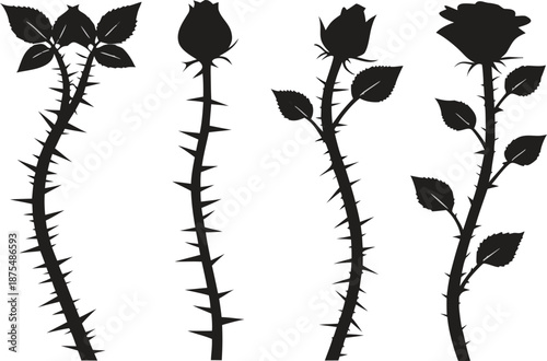 Black silhouette illustration of four thorny rose stems, each with sharp thorns.