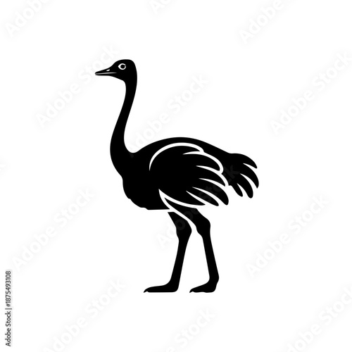 Stylized ostrich silhouette isolated on white background, Vector