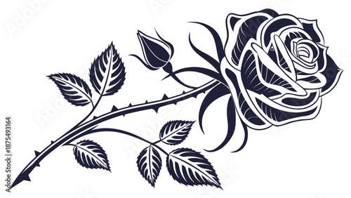 Elegant black rose with thorns and leaves on white background