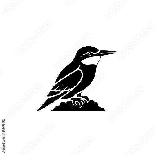 Black and white bird on branch isolated on white background, Vector