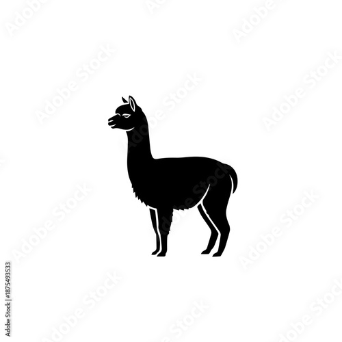 Silhouette of a llama isolated on white background, Vector