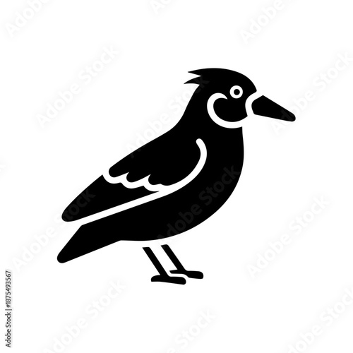 Black and white bird perched isolated on white background, Vector