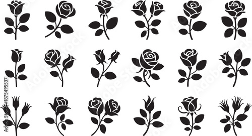 Black Rose Silhouettes on White Background