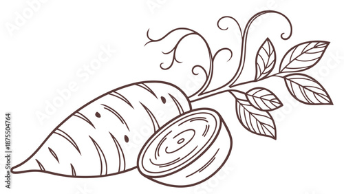 Simple line drawing of a fresh carrot with leafy greens and a sliced cross-section
