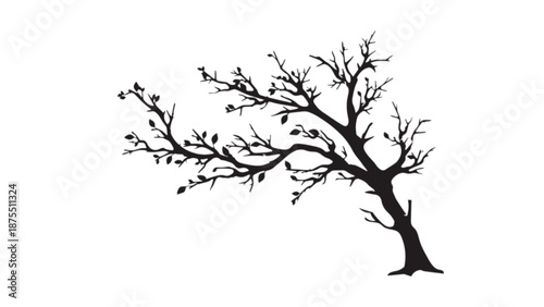 Bare Tree Branch Silhouette Minimalist Design