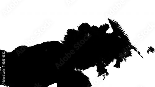 Black Paint Spreading Naturally on White Surface