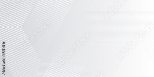 Minimalist gray background with hexagon geometric lines. The gray background features a smooth texture with subtle gray gradient and white lines.