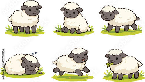 cute cartoon sheep vector illustration