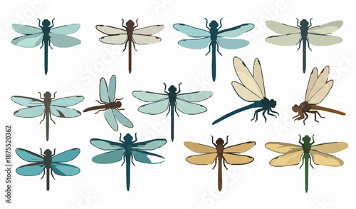 Cartoon dragonfly vector icon collection of flying bugs for nature design
