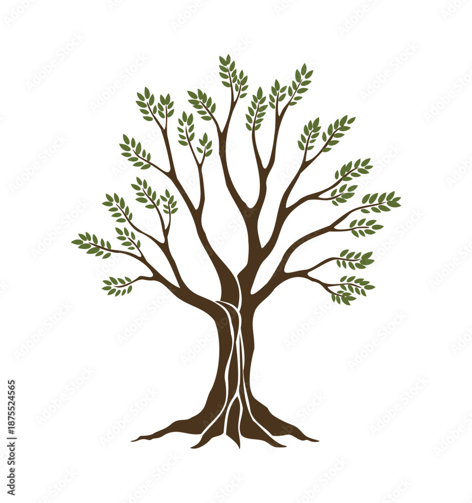 Fototapeta premium Olive trees with branches and leaves for design of packaging, label, logotype or banner. Natural organic stylized olive icon, premium quality sign. Vector illustration