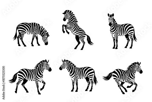 Zebra silhouettes set of 6 on isolated background