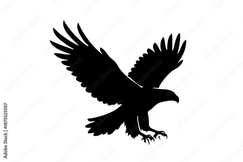 Obraz premium Eagle flying silhouette on white isolated background