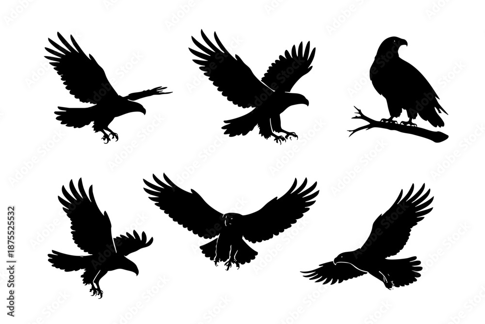 Fototapeta premium Eagle silhouettes on white isolated background