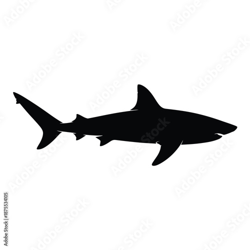 black silhouette of a shark on a white background