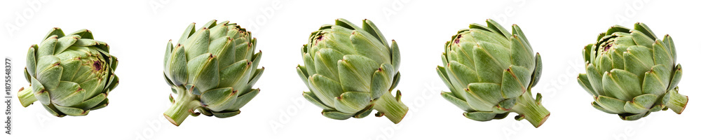Fototapeta premium A row of fresh artichokes displays their vibrant green color and intricate textures, perfect for food styling and promoting healthy culinary choices