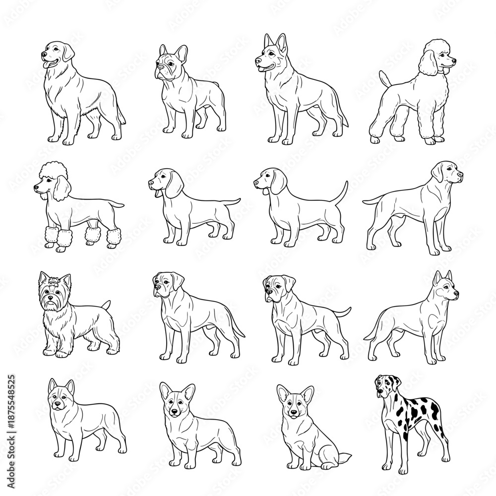 Fototapeta premium Collection of Various Dog Breeds Line Art Illustration Set for Pet-Themed Designs