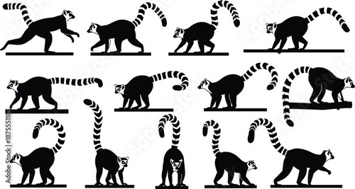 Sequence of black silhouettes of ring‑tailed lemurs walking and running with striped tails for wildlife motion, biology, and animation design