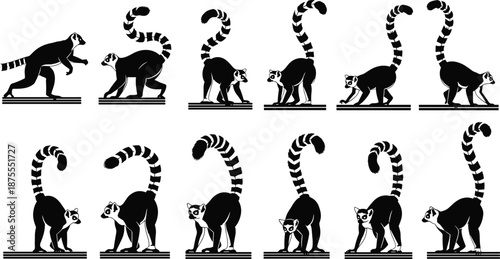 Sequence of black and white ring‑tailed lemur silhouettes walking with striped tails for wildlife biology, motion study, animation, and design use