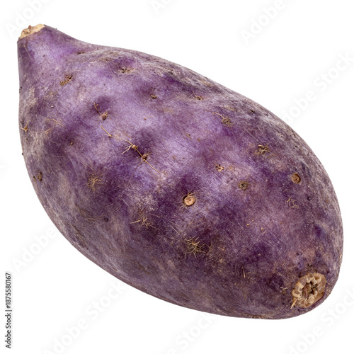 Purple Root Vegetable with Tapered Shape