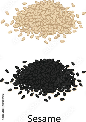 Heaps of white and black sesame seeds isolated on white background for culinary and agricultural ingredient concepts.