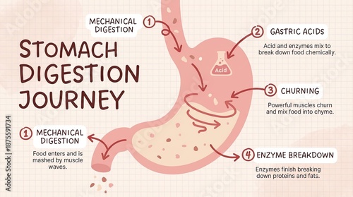 A detailed illustration map...