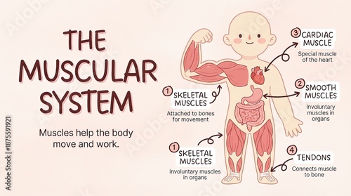 An illustrated overview of ...