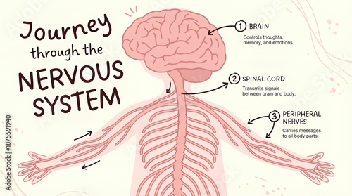 An insightful illustration ...