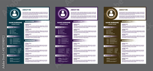 Professional Resume Templates with Education and Skills Sections