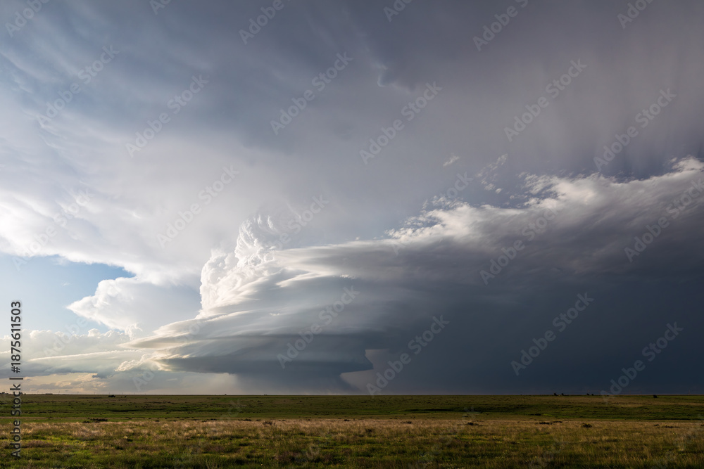 Fototapeta premium Dramatic sky with storm clouds over a field in Texas