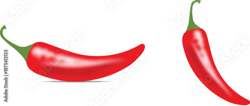 red chilly realistic vector 