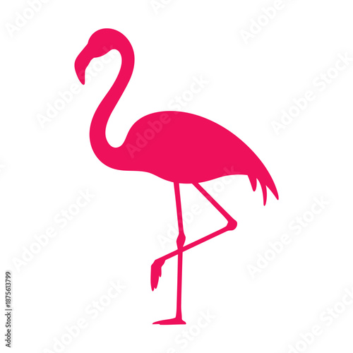 a pink flamingo standing on one leg