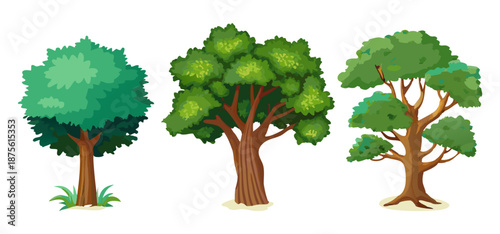 Tree Vector Illustration Collection Featuring Tropical and Orchard Trees with Mango, Apple, Banana, Orange, Coconut Palm and More Isolated on White Background