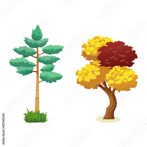 Tree Vector Illustration Collection Featuring Tropical and Orchard Trees with Mango, Apple, Banana, Orange, Coconut Palm and More Isolated on White Background