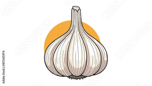 Detailed illustration of a whole white garlic bulb against an orange circular background for healthy cooking and culinary themes.