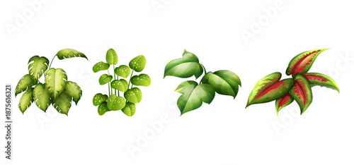 Tree Vector Illustration Collection Featuring Tropical and Orchard Trees with Mango, Apple, Banana, Orange, Coconut Palm and More Isolated on White Background