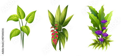 Tree Vector Illustration Collection Featuring Tropical and Orchard Trees with Mango, Apple, Banana, Orange, Coconut Palm and More Isolated on White Background