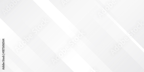 White abstract background. Silver effect texture. Light gray colour textur. Grey platinum pattern. Modern backdrop. Gradient delicate surface print. Design bg for business prints. Vector illustration