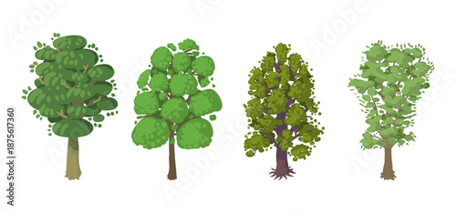 Tree Vector Illustration Collection Featuring Tropical and Orchard Trees with Mango, Apple, Banana, Orange, Coconut Palm and More Isolated on White Background