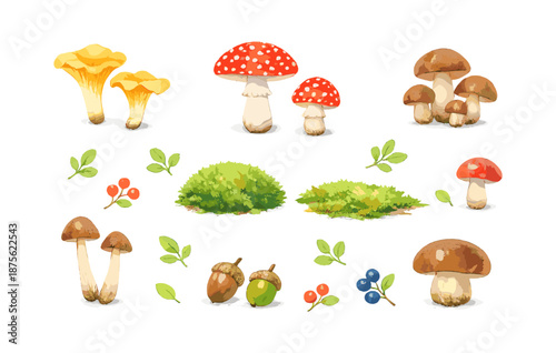 Collection of colorful mushrooms, berries, acorns, and leaves on white background