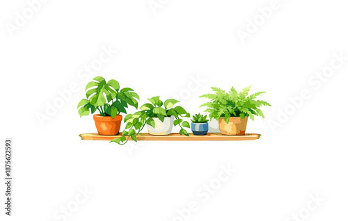 Collection of potted houseplants on wooden shelf: monstera, pothos, succulent, fern