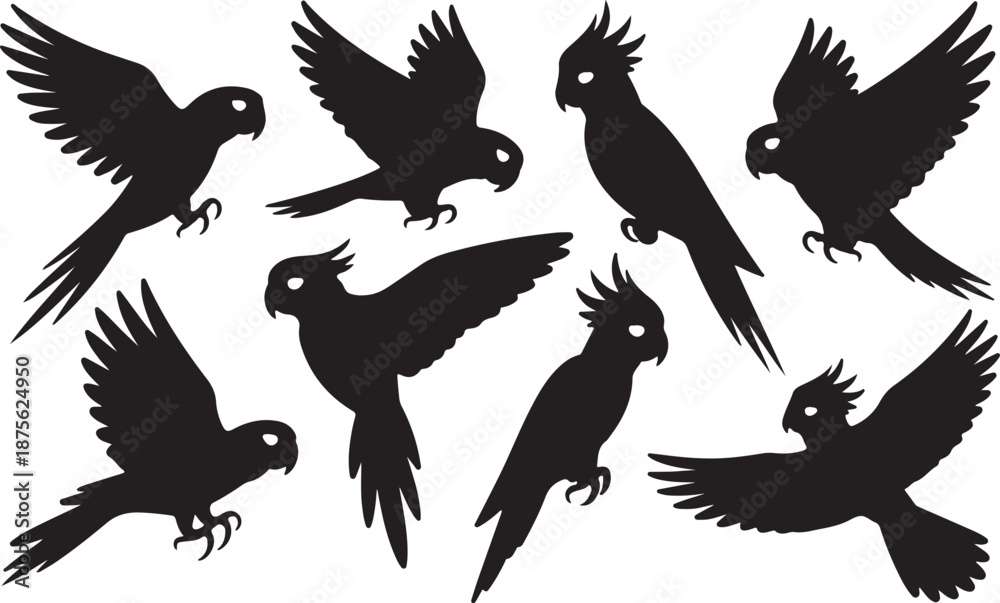 Obraz premium Parrot Silhouettes Set Black Vector Collection Tropical Bird Icons Pack
