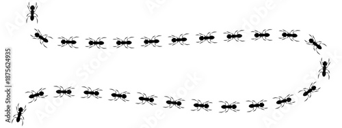 Curved path of an ant trail. Black print track shows ants walking in a wavy line, representing teamwork, following a path, or an insect pattern