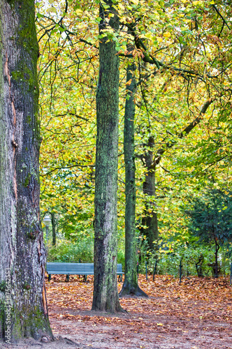 Splendid autumn view in the park in Brussels, with a pathway, a bench, no people and a lush foliage of all colours
