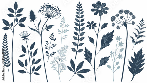 Elegant floral illustrations in soothing dark blue tones