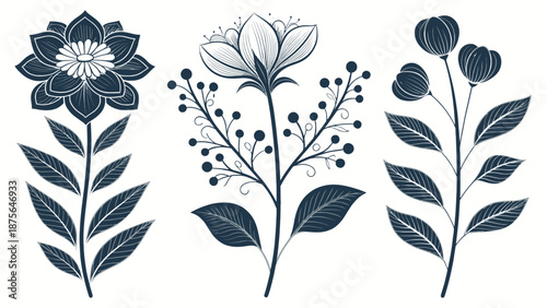 Elegant floral illustrations for design and decoration