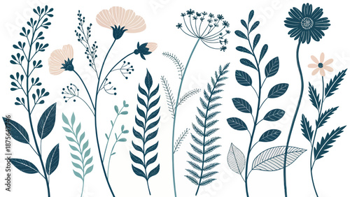 Beautiful floral illustrations with leaves and flowers