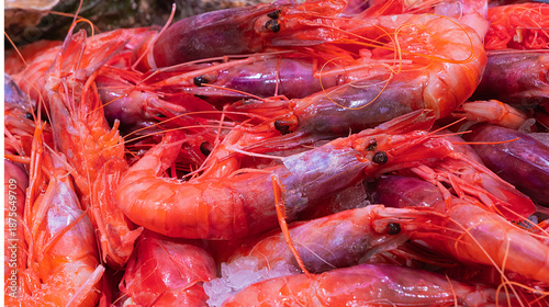Fresh Red Shrimp Seafood Exposed for Sale at Fish Market, Mediterranean Sea, Spain, Europe